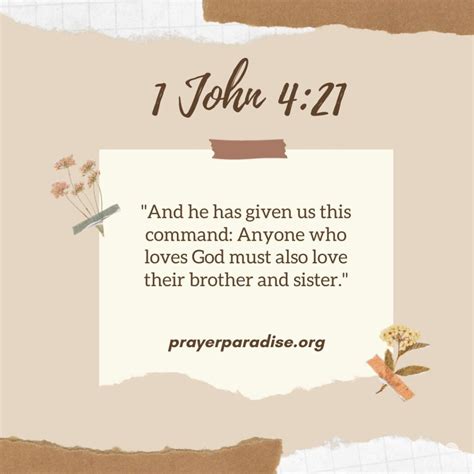 arguments between siblings in bible.